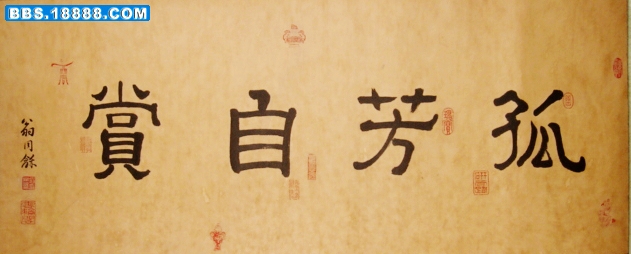 DSC01173.JPG