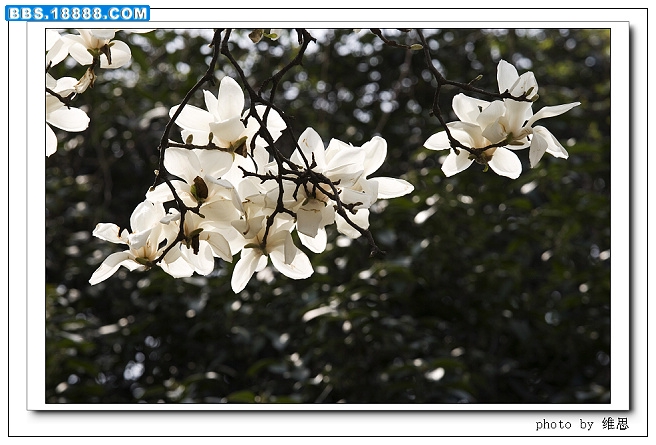 nEO_IMG_IMG_5090.jpg