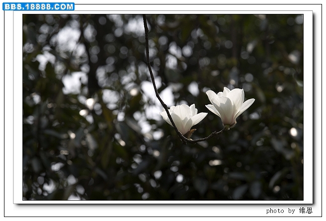 nEO_IMG_IMG_5064.jpg