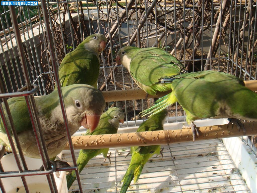 DSC02268.JPG