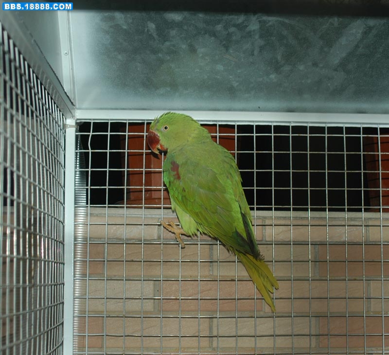 DSC_4552.JPG