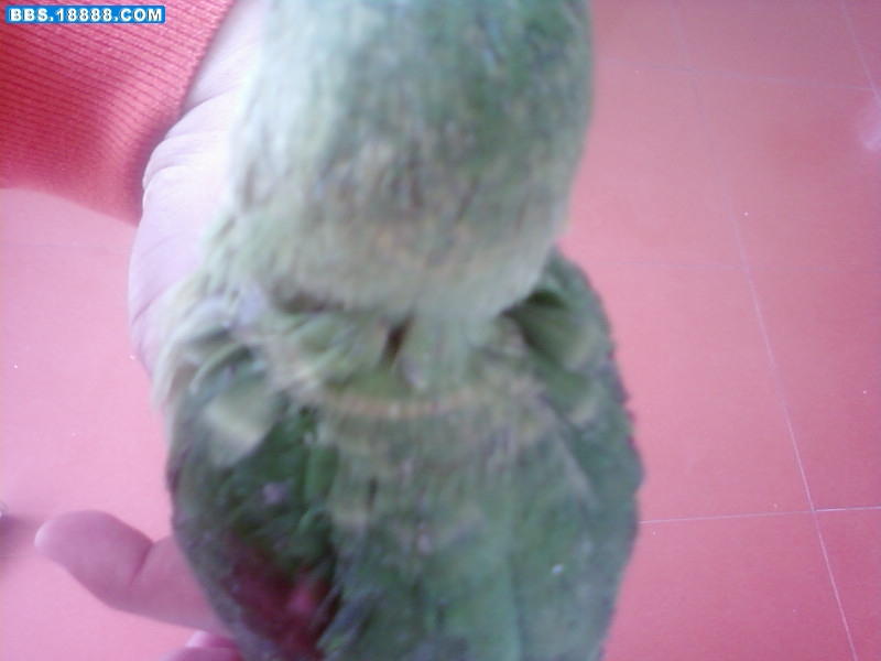 SP_A0364.jpg