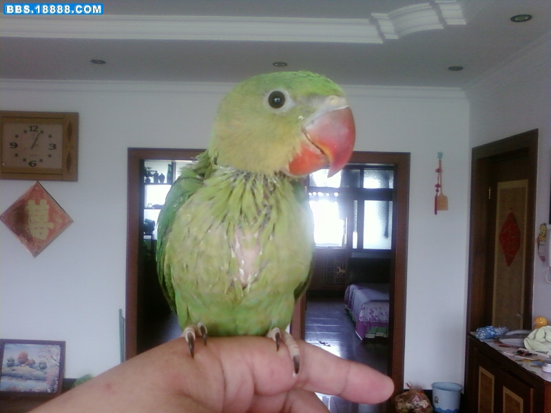 SP_A0365.jpg