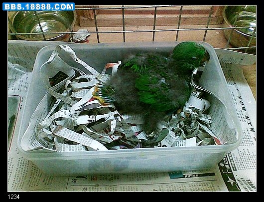nEO_IMG_图像009.jpg