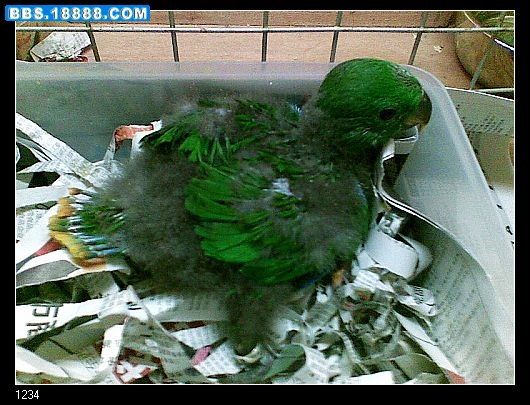 nEO_IMG_图像008.jpg