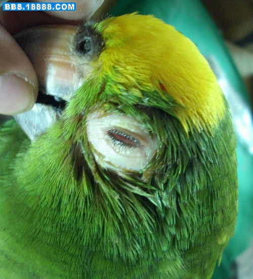 DSCN0041.JPG