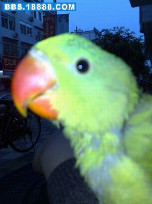 20090317153.jpg