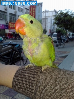 20090317151.jpg