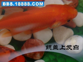 DSCF2309副本.jpg