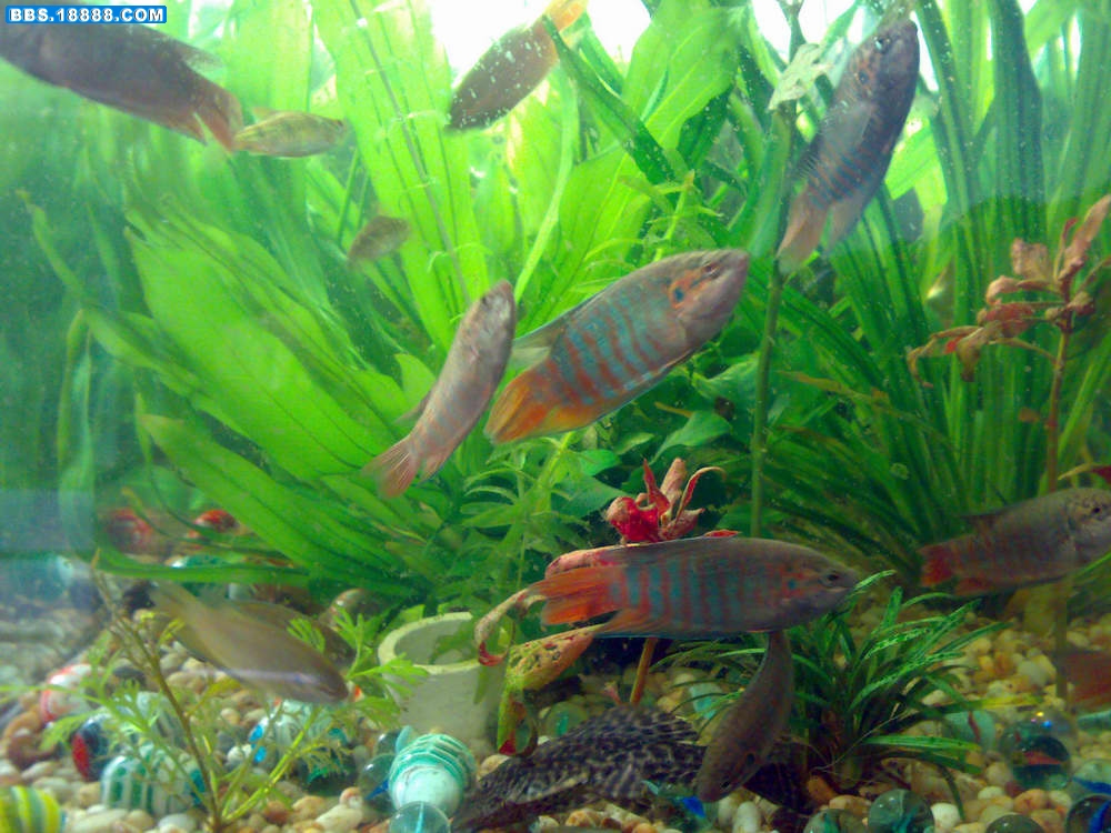 20090322430.jpg
