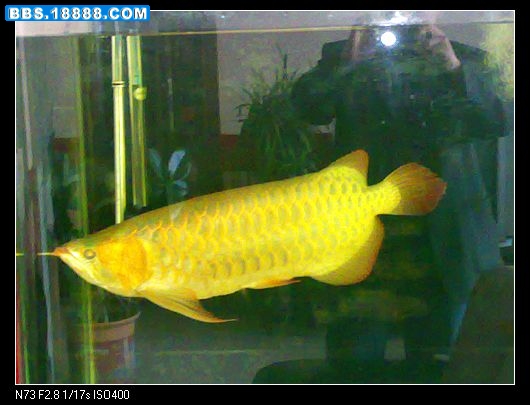nEO_IMG_20090323144.jpg