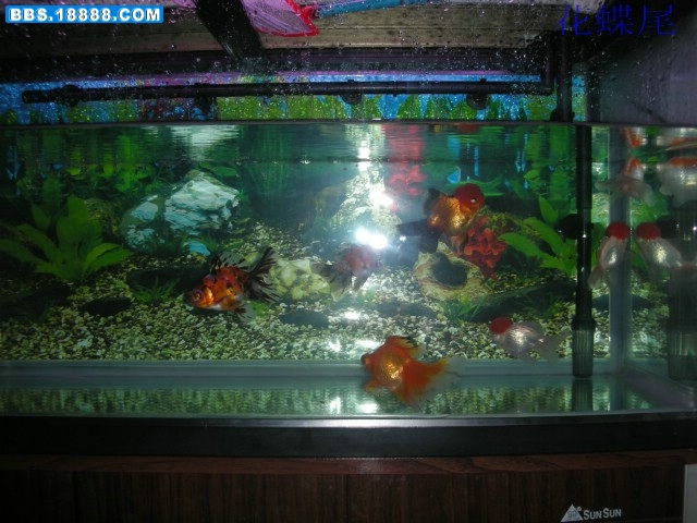 DSCN3797.jpg