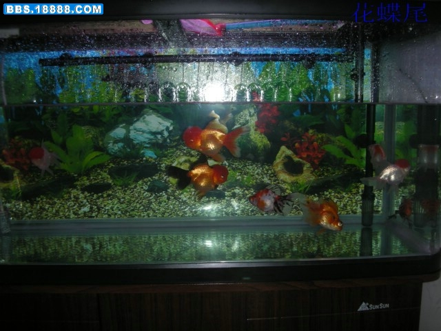 DSCN3794.jpg