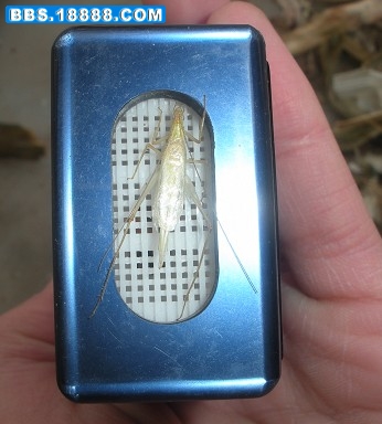 33.jpg