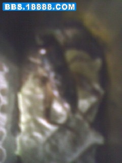 0321155503.jpg