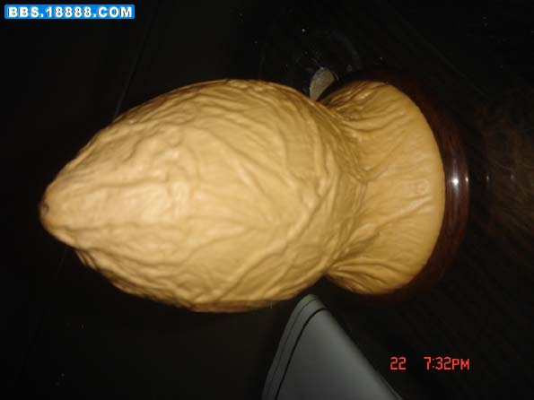DSC00088.JPG