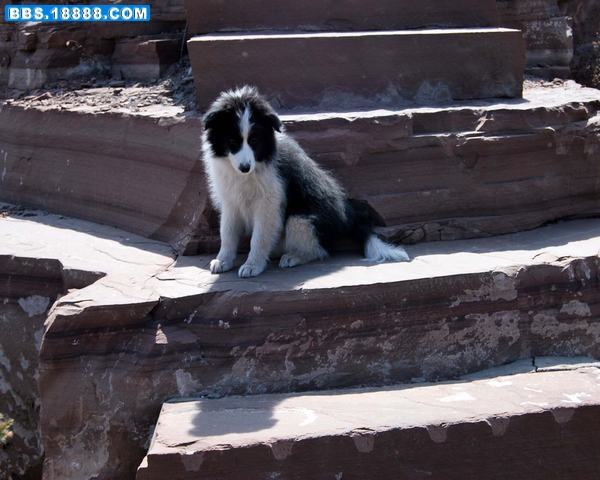 DSC_0144.JPG