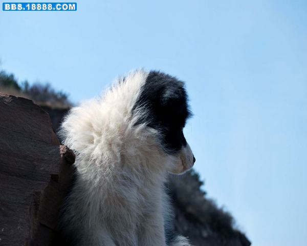 DSC_0173.JPG