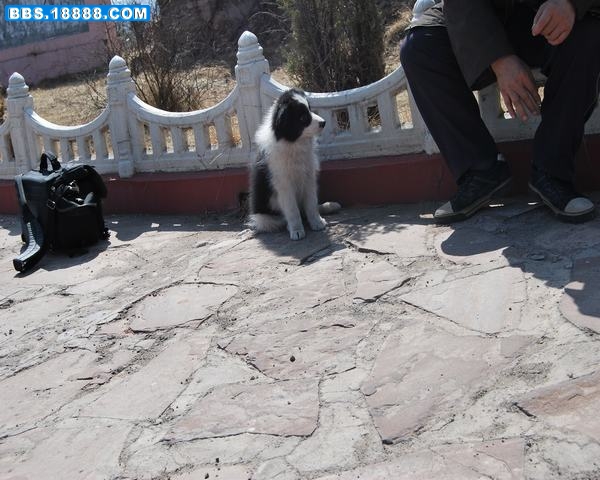 DSC_0134.JPG
