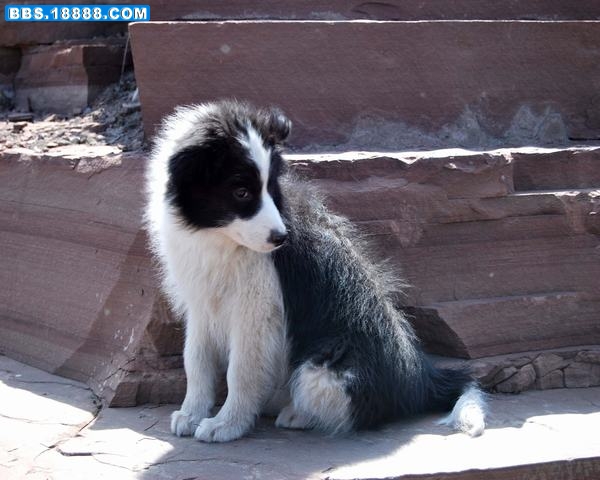 DSC_0155.JPG