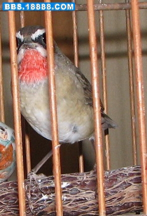 01.jpg