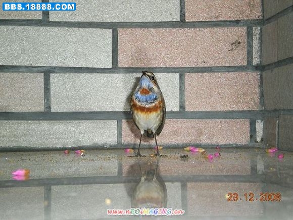 DSCN1538.JPG