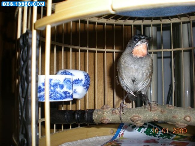 DSCN1674.JPG