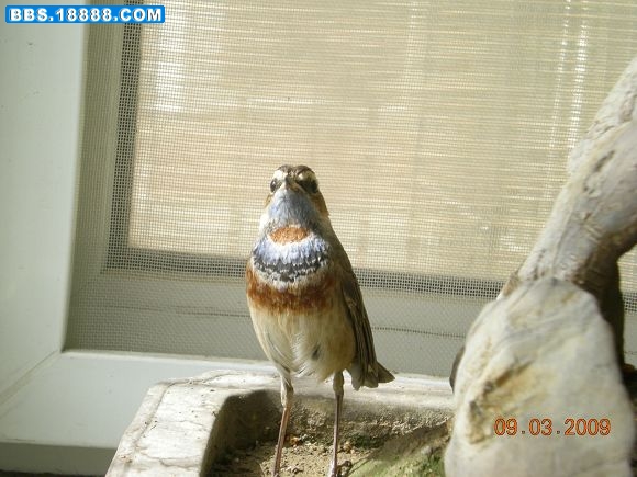 DSCN1777.JPG
