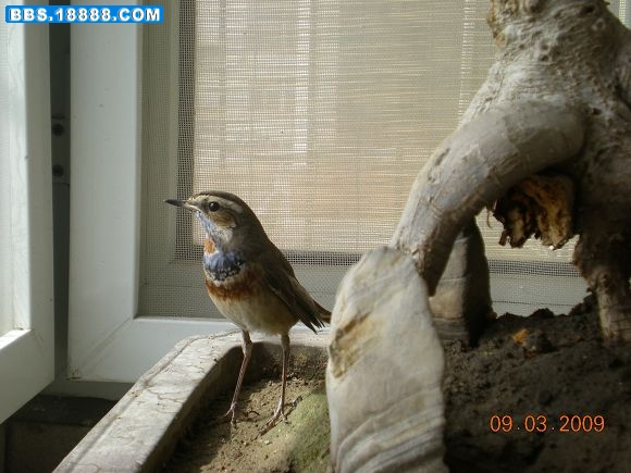 DSCN1760.JPG