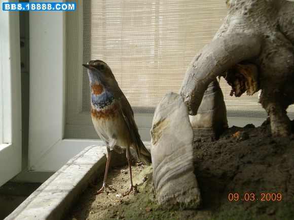 DSCN1775.JPG