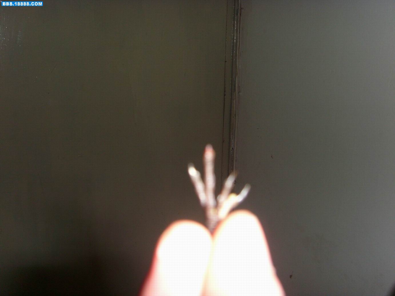 S73R0286.jpg