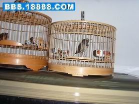 S73R0341.jpg