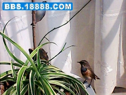 IMG0022A.jpg