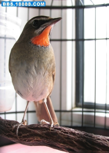 照片01 003.jpg