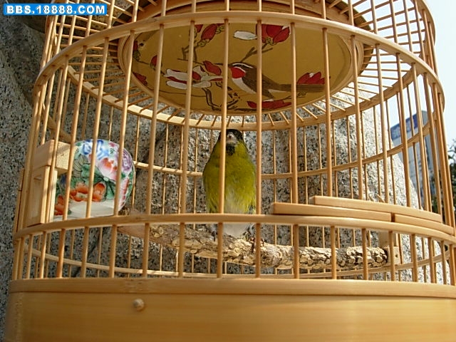 DSCN8375.JPG