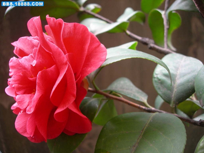 DSCN2346.JPG