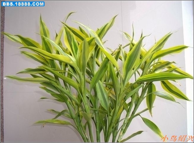 未命名.jpg