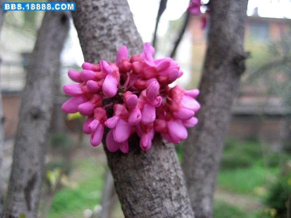 照片 078.jpg