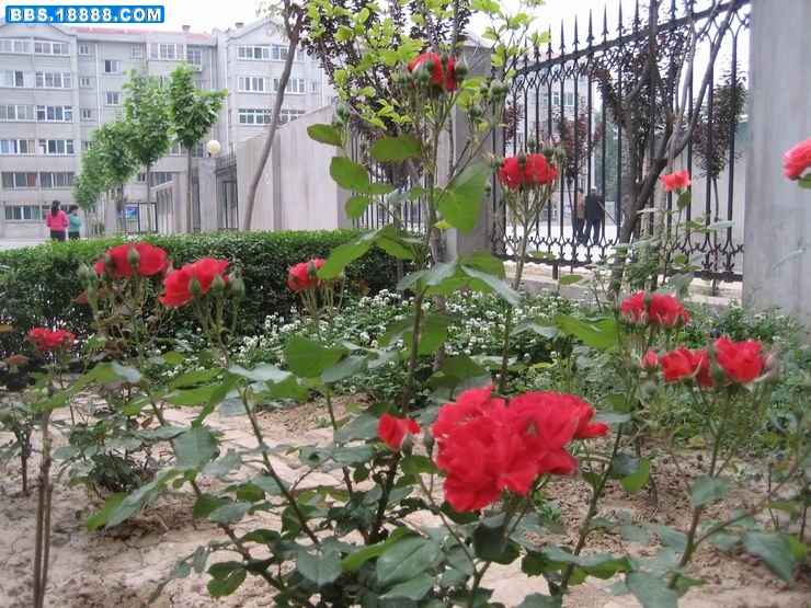 照片 054.jpg