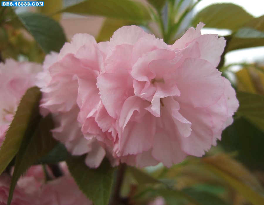 images001.jpg