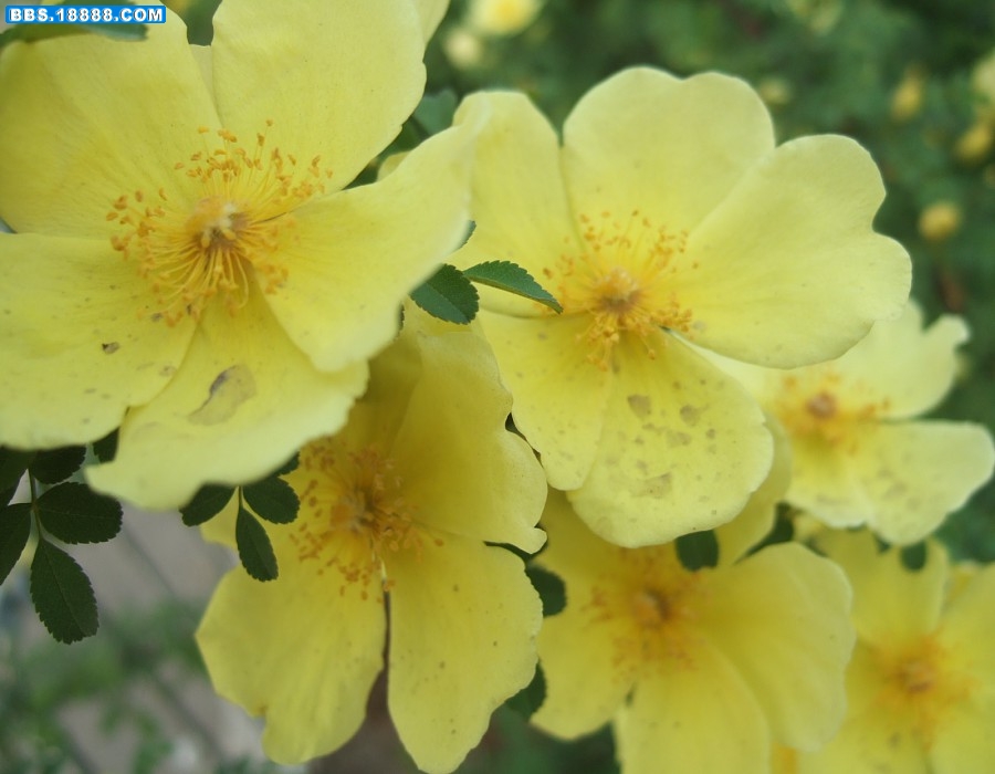 images011.jpg