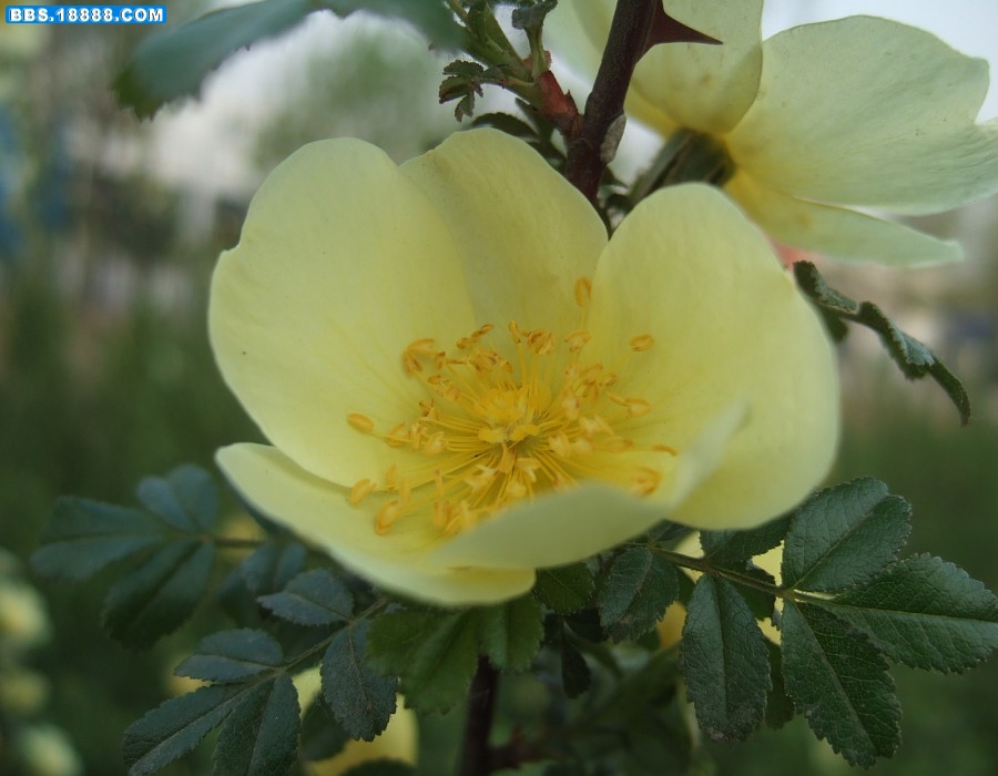 images014.jpg