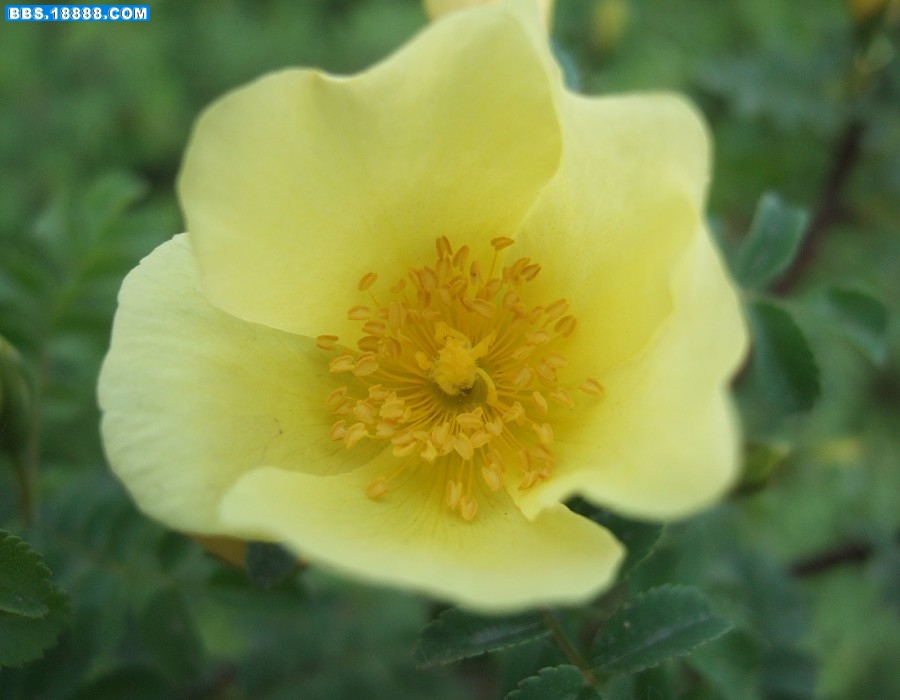 images015.jpg