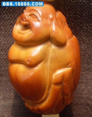 DSCN4571.jpg