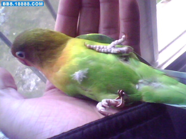 IMG0291A.jpg