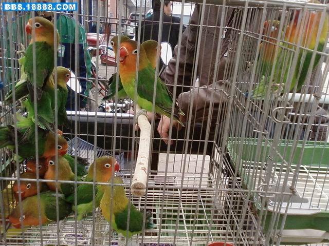 调整大小 20090405(009).jpg