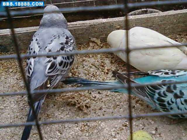 调整大小 20090405(055).jpg