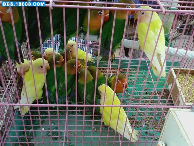 调整大小 20090426(078).jpg