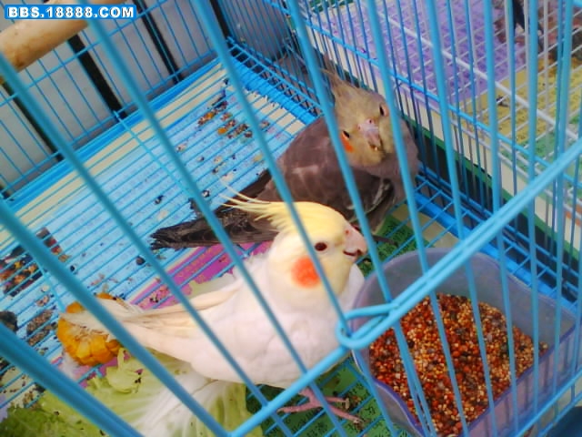 IMG0032A.jpg