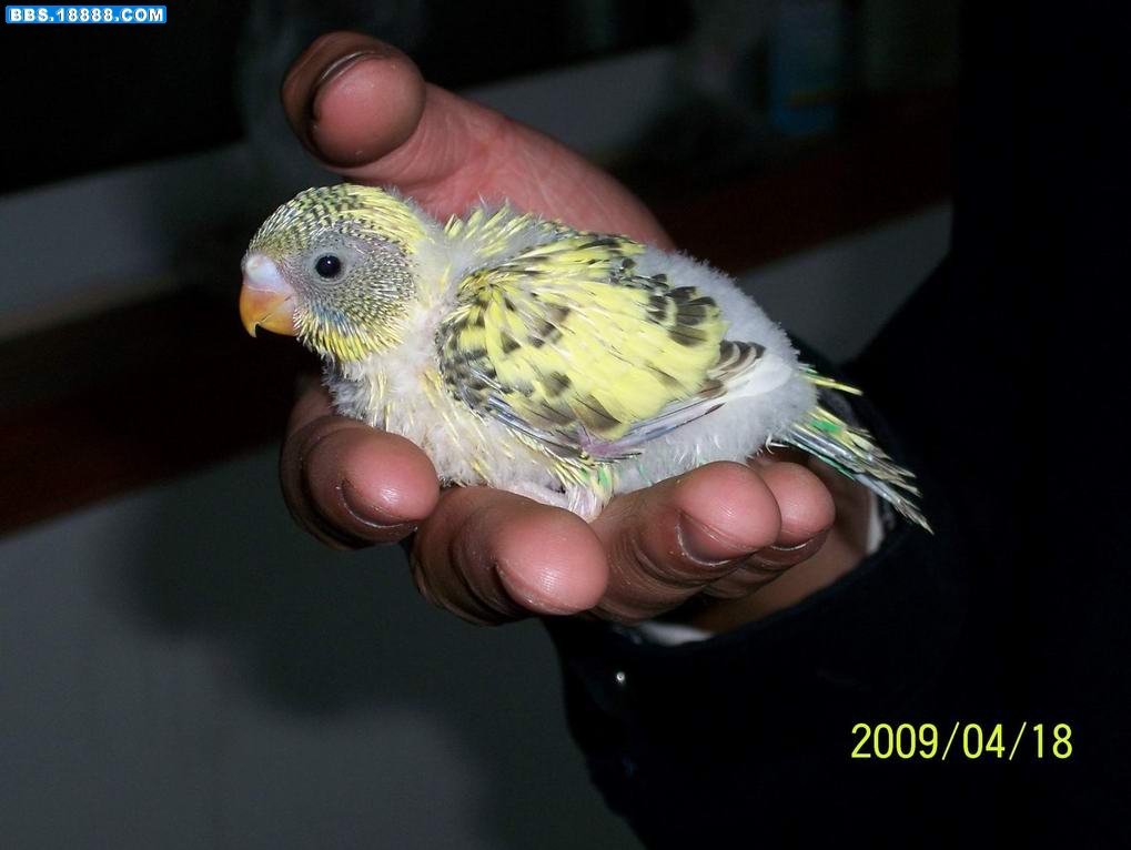 100_3549.JPG